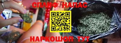 стаф Абинск