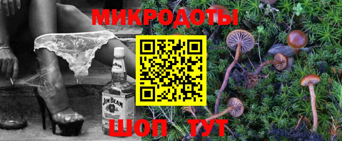 Галлюциногенные грибы GOLDEN TEACHER  Вход с VPN  Кисловодск 