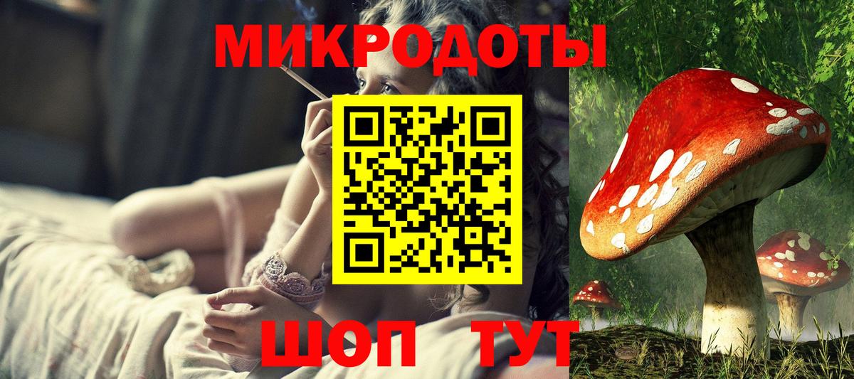 Псилоцибиновые грибы мицелий Кисловодск