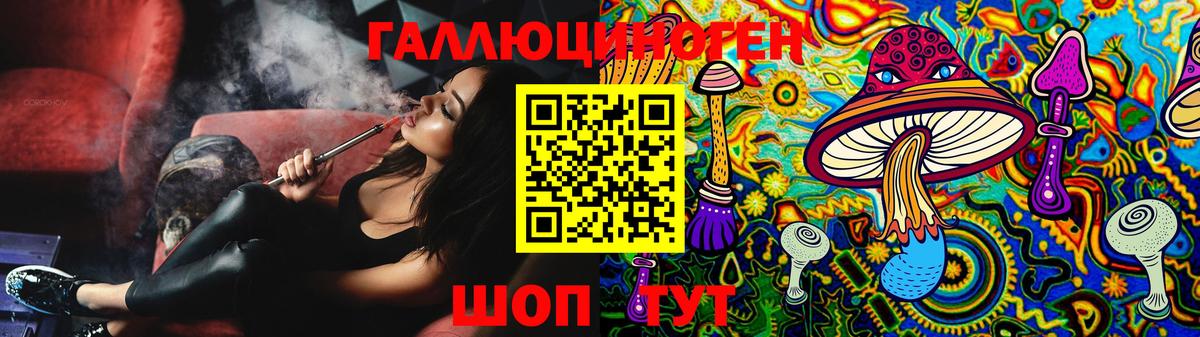 Галлюциногенные грибы прущие грибы Кисловодск