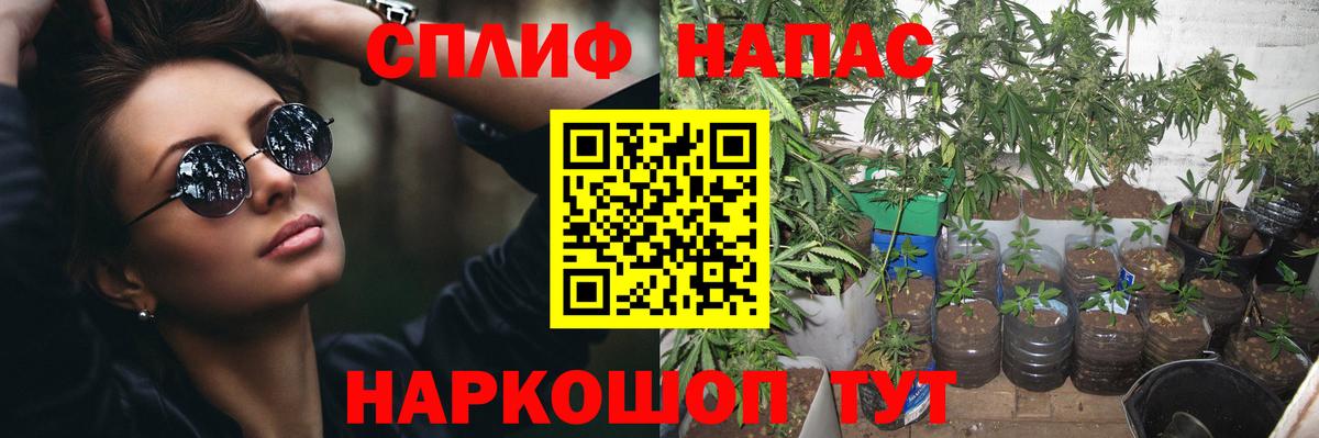 МАРИХУАНА тримм Кисловодск